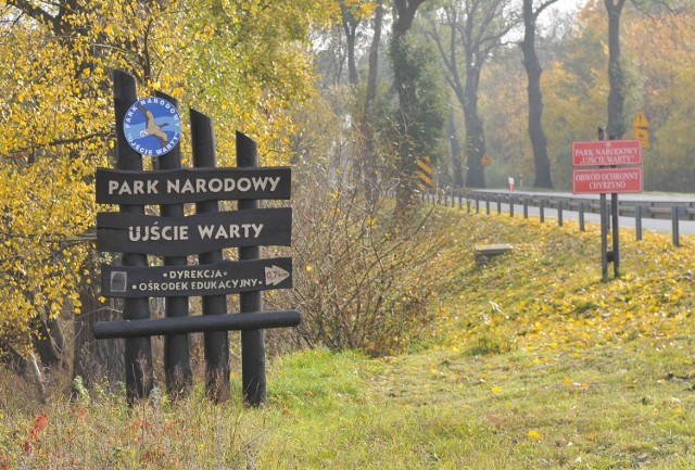 Wysoki stan Warty sprawił, że zalane zostały niektóre szlaki turystyczne w Parku Narodowym "Ujście Warty".