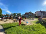 Place zabaw w gminie Nowy Dwór Gdański wracają do życia