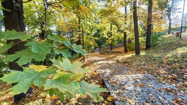 Park na Wzgórzu Zamkowym oraz średniowieczna warownia w Będzinie polecają się na jesienne weekendy 

Zobacz kolejne zdjęcia/plansze. Przesuwaj zdjęcia w prawo naciśnij strzałkę lub przycisk NASTĘPNE