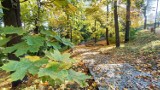 Park na Wzgórzu Zamkowym w Będzinie w jesiennych barwach. Zachęca do spacerów i wypoczynku w plenerze 