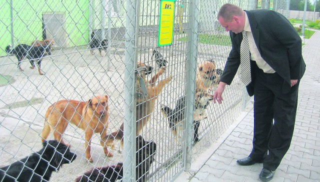 Nowo utworzonym schroniskiem dla bezdomnych zwierząt w Różanej opiekuje się Jarosłw Jurowski