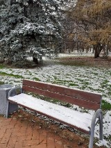 Park na osiedlu Kmity przy ul. Wyspiańskiego w Rzeszowie oprószony śniegiem. Zobacz zdjęcia
