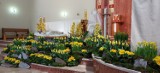 Wielkanoc 2023. Jak wyglądały tegoroczne Groby Pańskie w skierniewickich kościołach?
