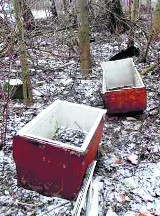 Ekologiczny patrol w Sosnowcu: kanapy i lodówki zimują w Parku Tysiąclecia w Milowicach