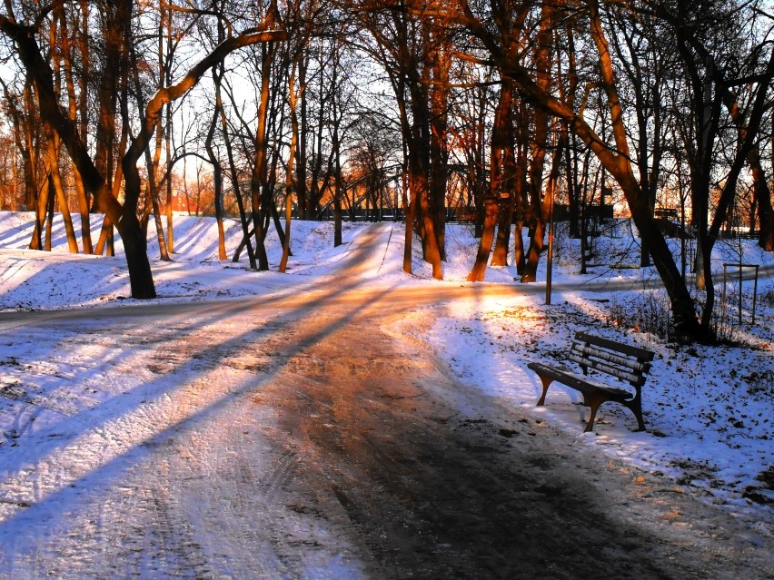 Zimowe Opole [zdjęcia]