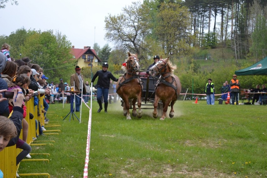 Turniej Woźniców i Hodowców Koni Zimnokrwistych na Kaszubach...