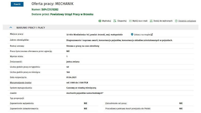 Najnowsze oferty pracy w powiecie brzeskim, 17.03.2021