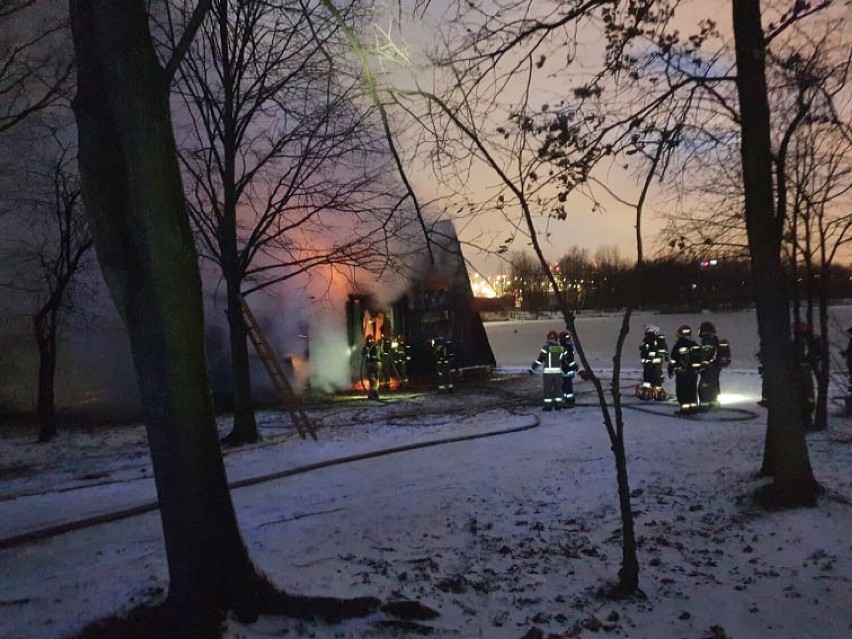 Duzy pożar w Dolinie Trzech Stawów w Katowicach - zdjęcia. Z ogniem walczyło kilka zastępów straży pożarnej
