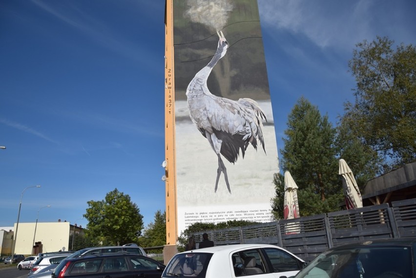 Ekologicznie na ścianach budynków lubińskiej spółdzielni