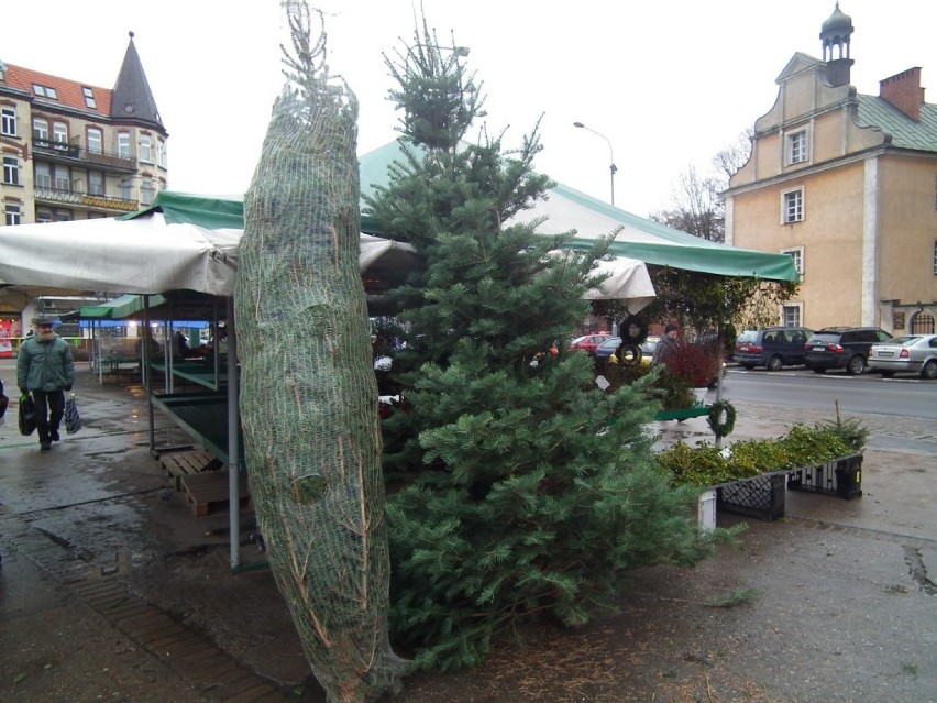 Świąteczny kiermasz "Zielony Targ" na placu Bernardyńskim