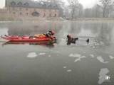 Paczków. Pod mężczyzną załamał się lód. Wszedł na taflę, by ratować psy, które również wpadły do wody