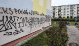 Wandale w Bydgoszczy niszczą malunkami i napisami elewacje budynków. Spółdzielnie mają różne metody