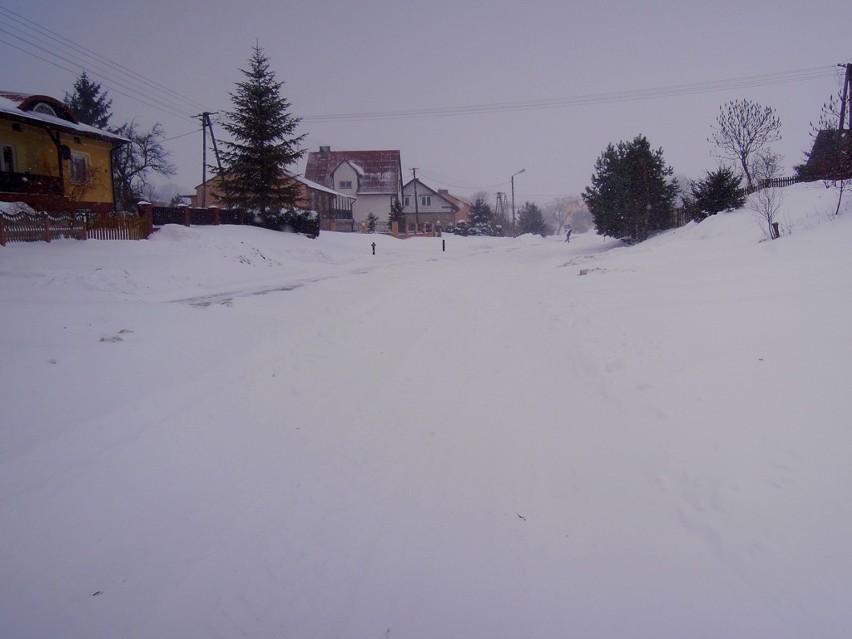 Zamość i region: Zima wróciła, ale najgorsze już za nami. ZDJĘCIA, RELACJA