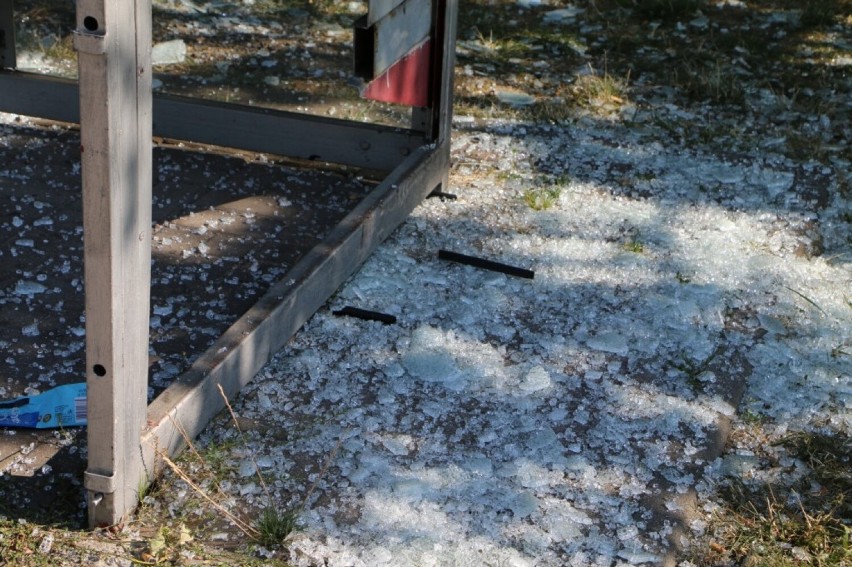 Wandalizm w Legnicy. W nocy chuligani wybili szyby w wiacie na przystanku przy al. Piłsudskiego