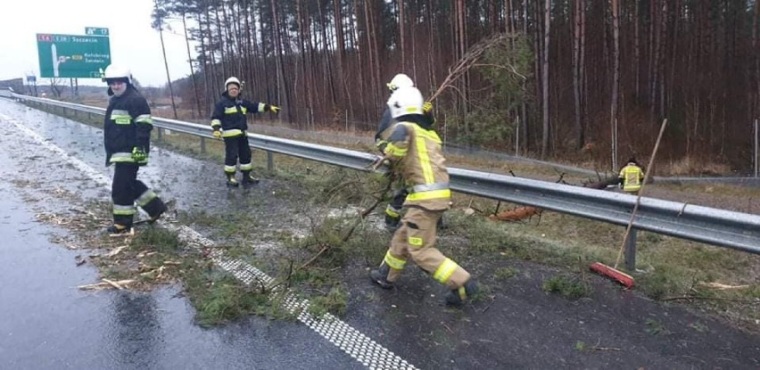 Wichura nad powiatem kołobrzeskim, padające drzewa, konary, latające płoty