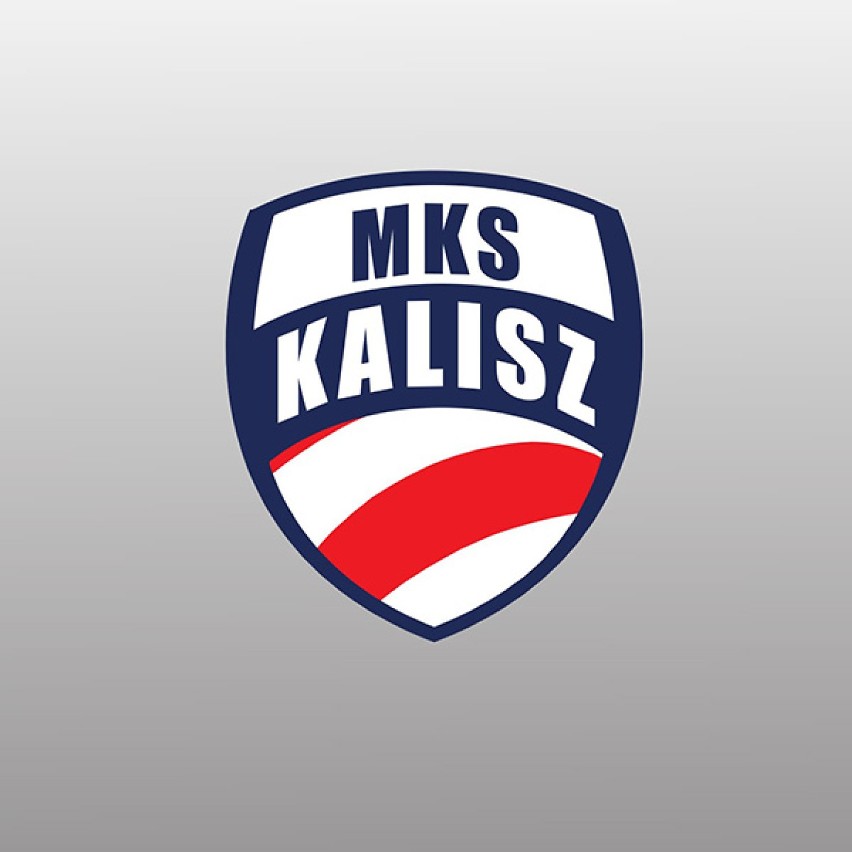 Propozycje herbu MKS-u