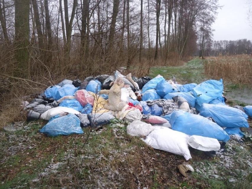 Wandale to już szczyt! Mnóstwo worków ze śmieciami porzucono w Albertowsku! [ZDJĘCIA]