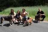Zostań wolontariuszem Fundacji Funny Pets w schronisku w Czartkach ZDJĘCIA