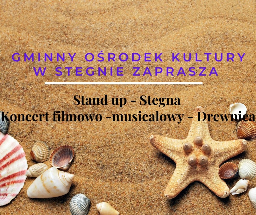 Gmina Stegna. Koncert " Od nocy do nocy" i Krzysztof Skiba w stand upie