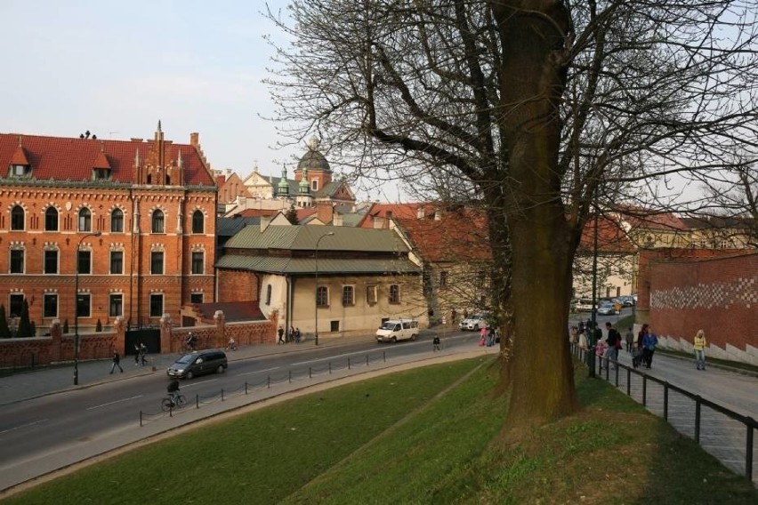 Kraków. Z georadarem pod Wawelem. Badacze szukali pozostałości Bramy Pobocznej