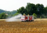 Pożar zboża na polu w Lasowicach Wielkich, w akcji 13 zastępów straży pożarnej [zdjęcia]
