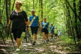 Poszli z kijkami do lasu. Za nami I Kraśnicki Rajd Nordic Walking. Zobacz zdjęcia