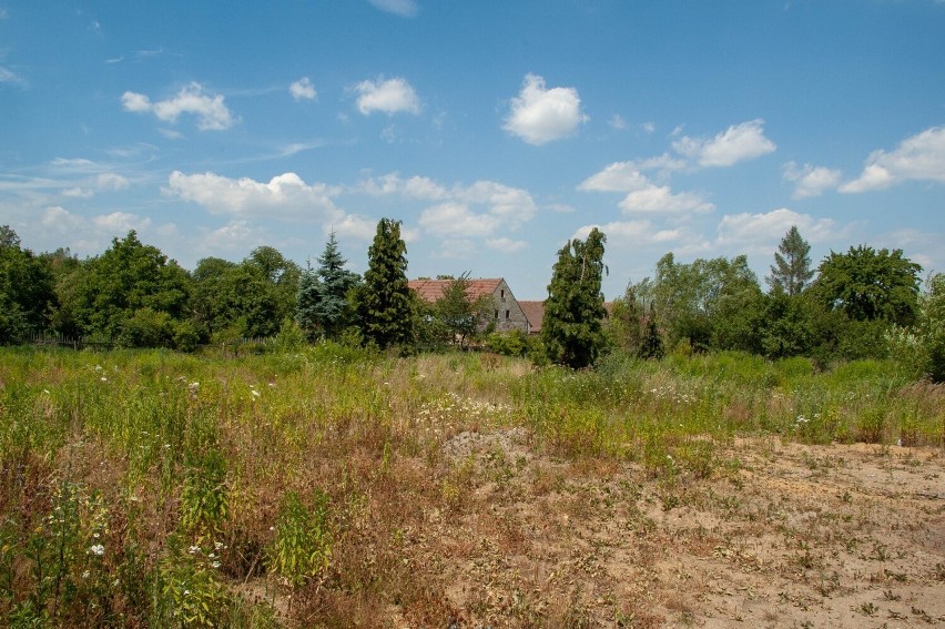 Białopole to wieś w powiecie zgorzeleckim, w gminie...