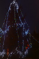 Świąteczne iluminacje w Turku [ZDJĘCIA]