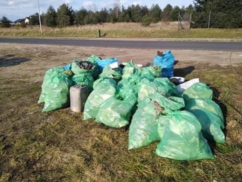 Gmina Śrem: ponad 30 worków śmieci, to efekt niedzielnych działań w Lucinach. Porzucone śmieci to nie tylko problem Śremu i okolic