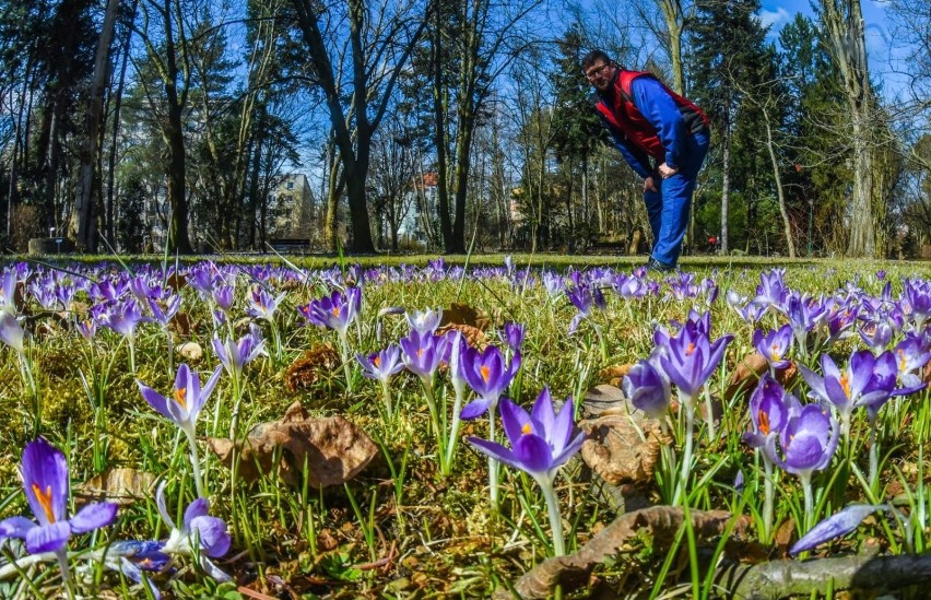 Środa będzie w naszym regionie pochmurna, a w niektórych...