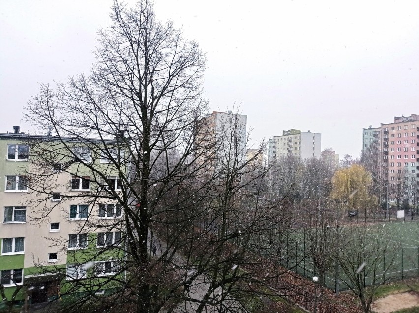 W Lublinie spadł pierwszy śnieg tej zimy. Zobacz zdjęcia i wideo