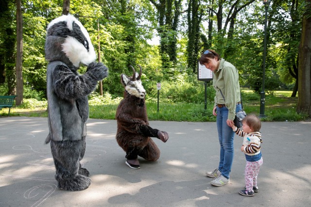 Piknik „Poznaj małopolskie parki narodowe” w Krakowie.