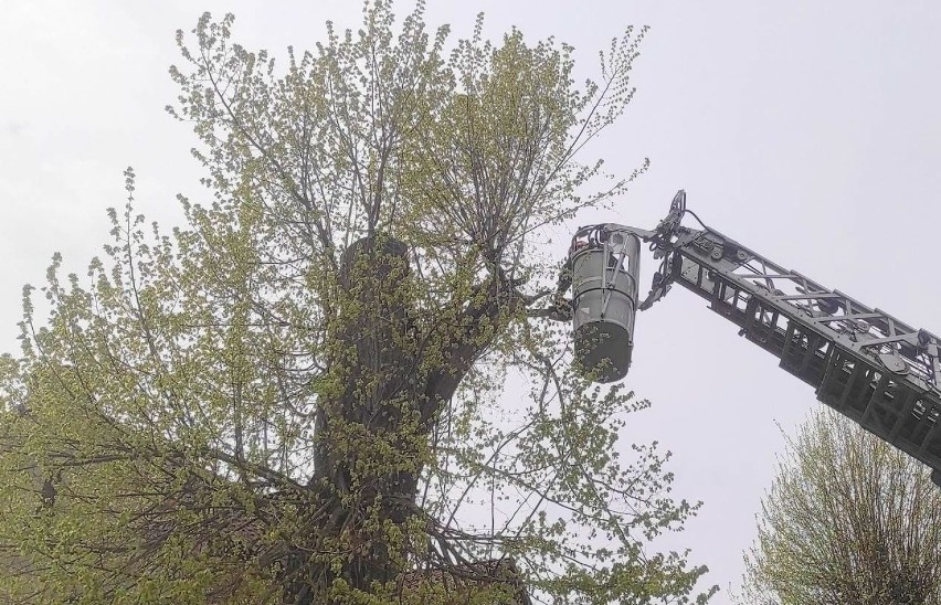 W dniu och święta o strażakach ze Skwierzyny nie zapomniały...