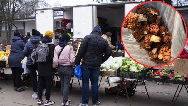 Na warszawskim bazarze sprzedawano trujące grzyby? Sprawę zgłoszono na policję