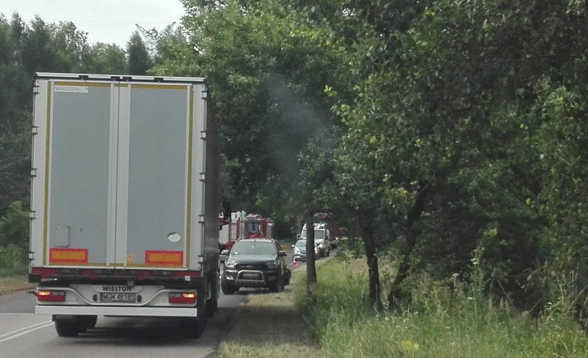 Śmiertelny wypadek w Łośniu. Kierowca bmw uderzył w drzewo, zginął na miejscu. [ZDJĘCIA]