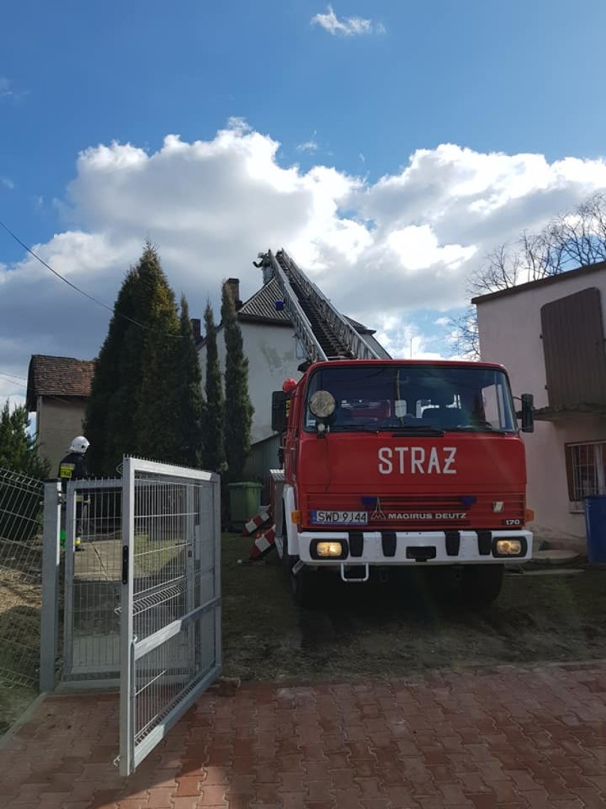 Od niedzieli strażacy w powiecie wodzisławskim odnotowali...