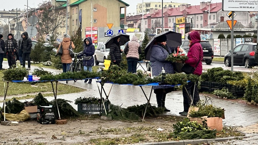 Zakupy na targu w Tarnobrzegu przed świętami Bożego Narodzenia. Królowały choinki, stroiki, jemioła, susz wigilijny, karpie. Jakie ceny?