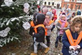 Inwazja przedszkolaków na Rynku w Tarnowie. Swoimi ozdobami przystroiły żywe choinki obok ratusza [ZDJĘCIA]