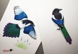 Rozmowa z bydgoskim ornitologiem Dawidem Kilonem, który robi niesamowite rysunki ptaków, ale i... krów
