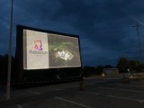 Pierwsze kino samochodowe w Olkuszu. Na parkingu Carrefoura zabrakło miejsc dla chętnych [ZDJĘCIA]