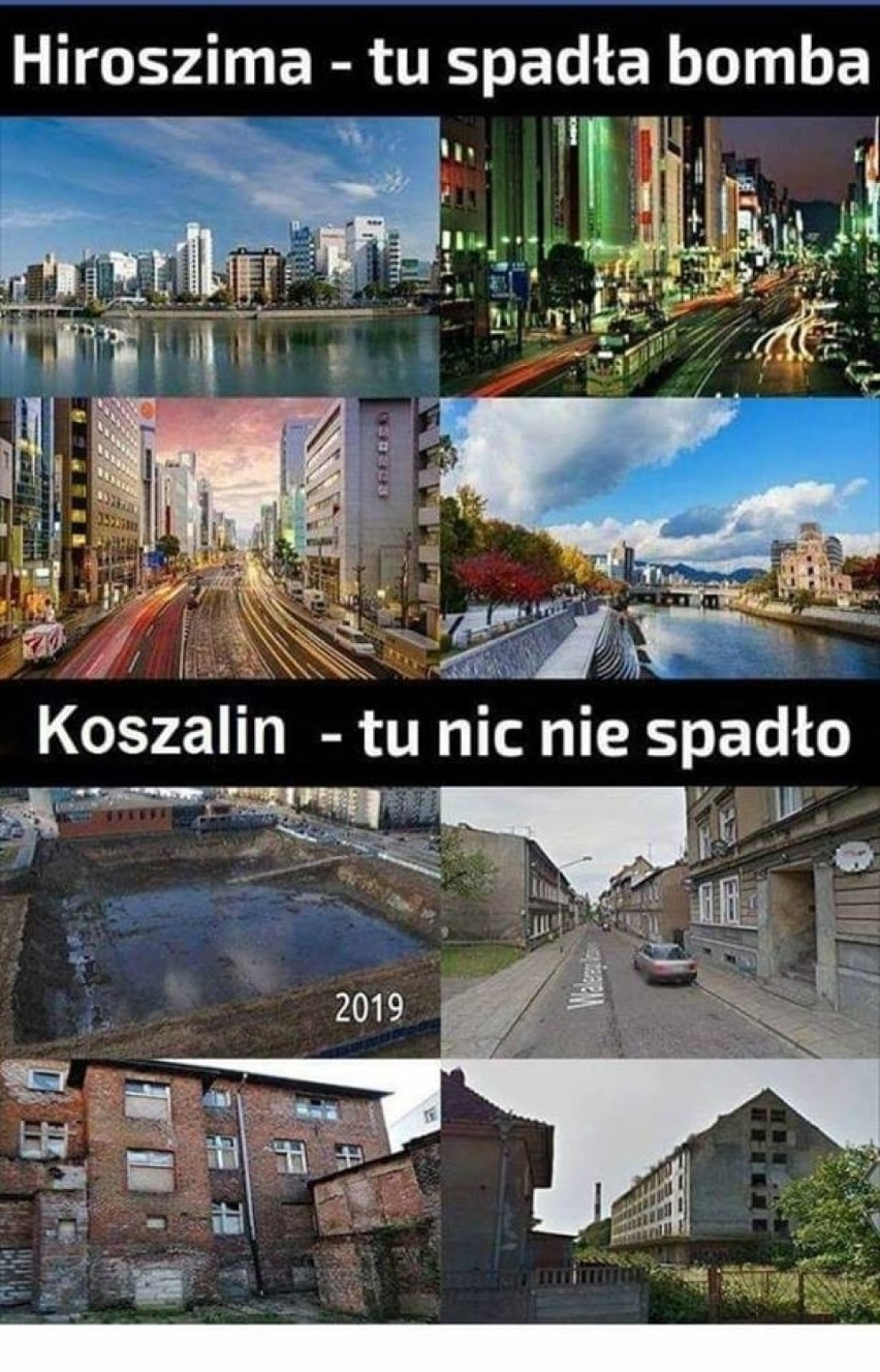 Najnowsze memy o Koszalinie. Internet nie przestaje się...