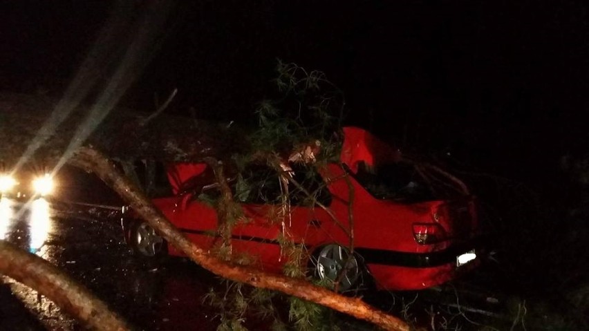 Drzewo spadło na samochód!