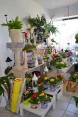Mistrzowie Handlu 2015 - Kwiaciarnia Roku - Kwiaciarnia Bukiecik w Garczu