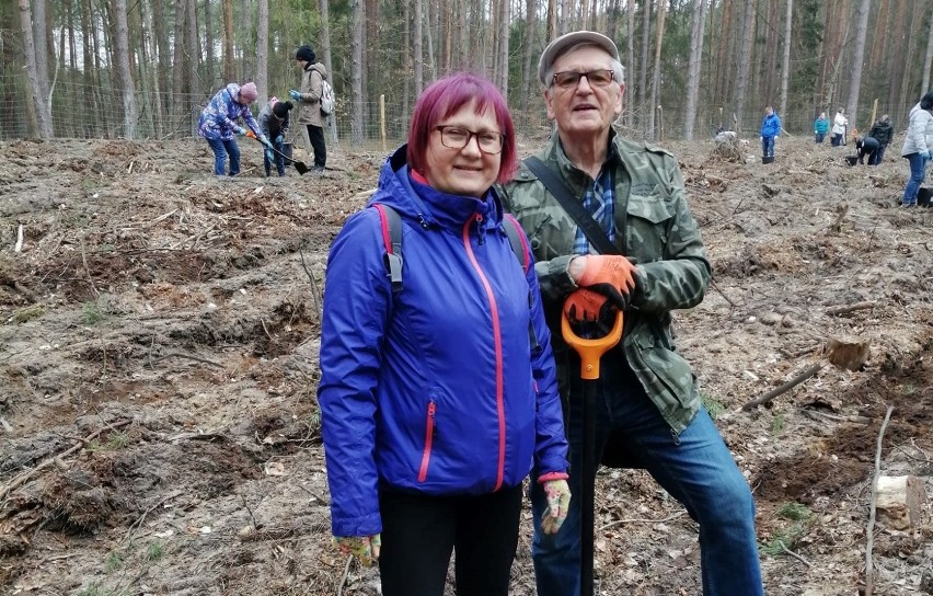 W sadzeniu lasu koło Nierzymia brało udział 40 osób.