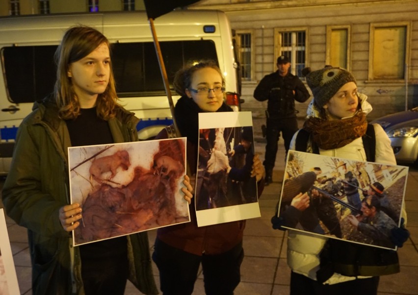 "Lasy wolne od myśliwych!". Bydgoszczanie protestowali przeciwko nowelizacji ustawy łowieckiej [zdjęcia, wideo]