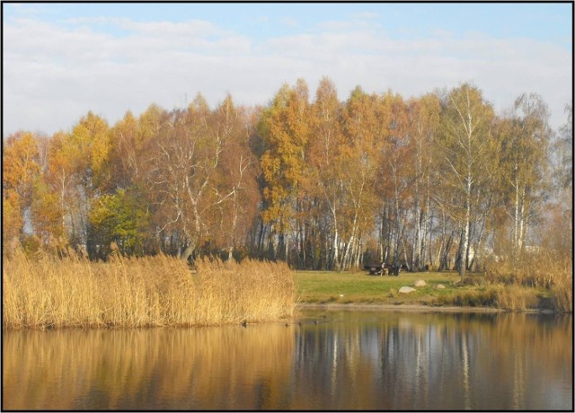 Uroczysko Lublinek. Stawy Bielice.
fot. Mariusz Reczulski