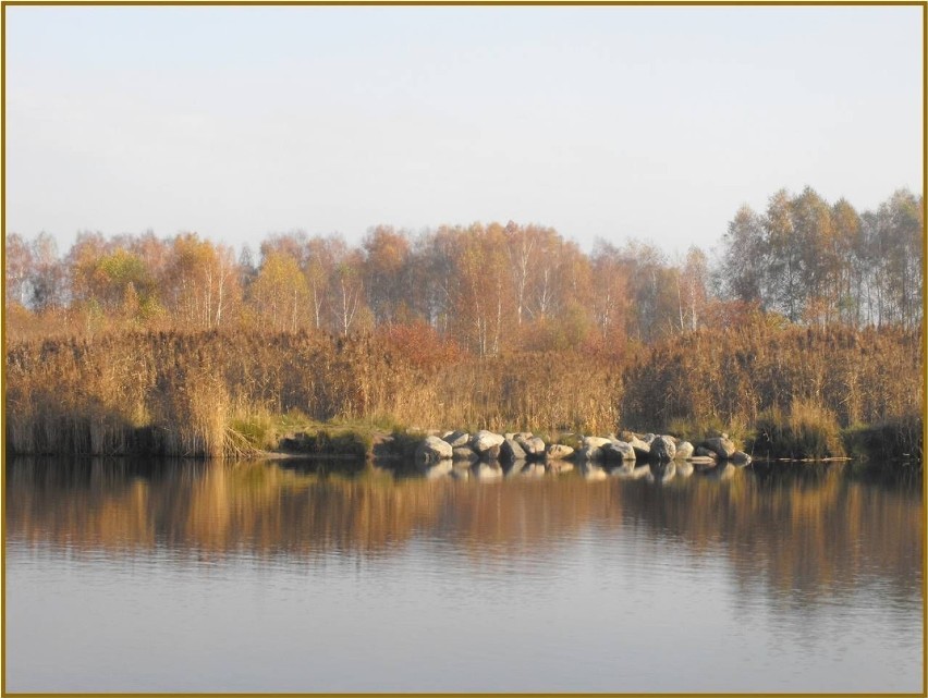 Stawy Bielice, miejsce lęgowe ptaków wodnych oraz rekreacji...