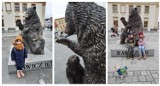 Pomnik niedźwiedzia w Rawiczu. Mali i nieco starsi mieszkańcy chętnie fotografują się na tle nowej atrakcji [ZDJĘCIA]