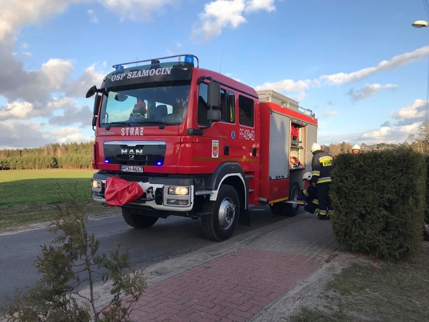 Wiatr w powiecie chodzieskim. Przewrócone drzewa, połamane gałęzie, naderwany dach (FOTO)