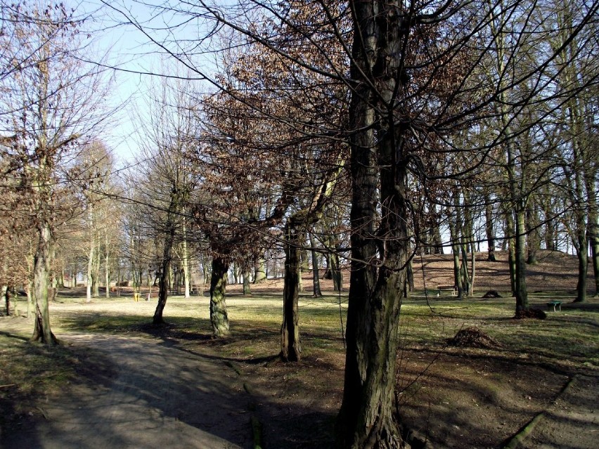 Park Miejski Zbąszyń